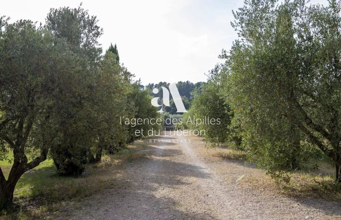 Image No.36-6 Bed House for sale