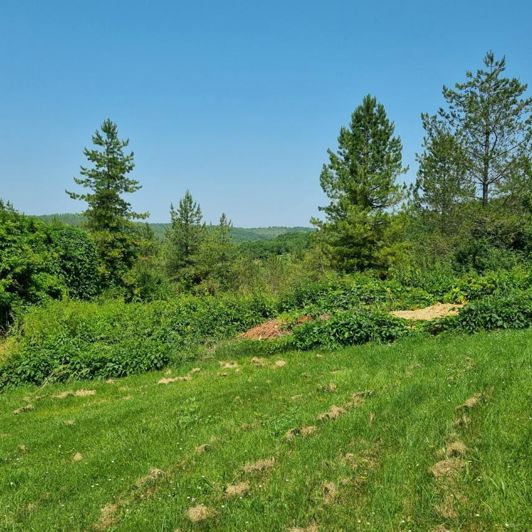 Image No.34-9 Bed Property for sale