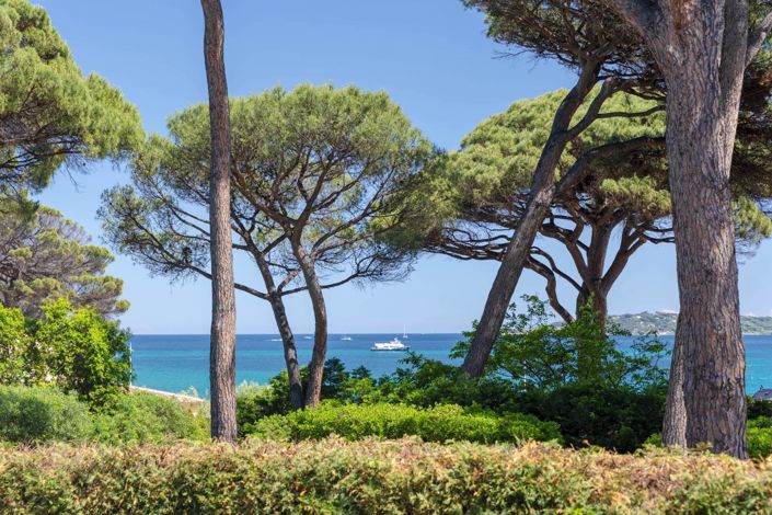 Image No.16-5 Bed House for sale