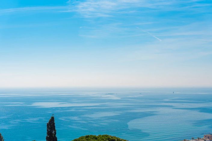 Image No.19-4 Bed House for sale