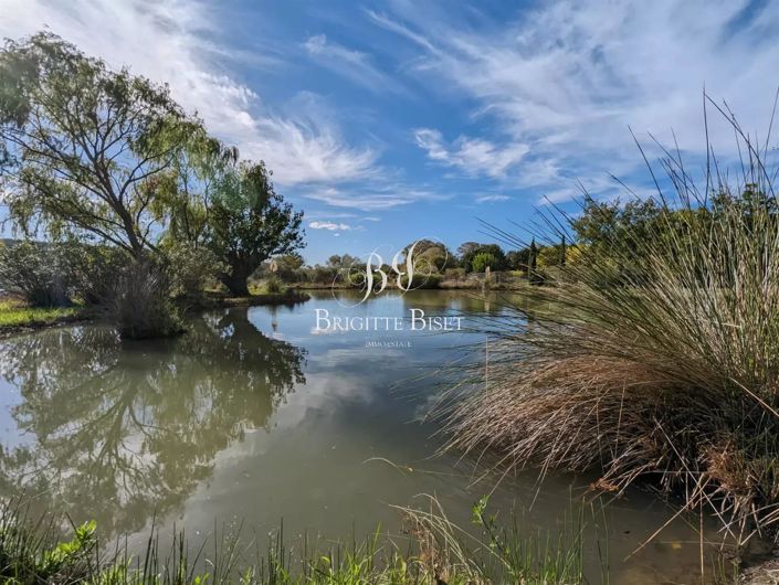 Image No.19-4 Bed House for sale