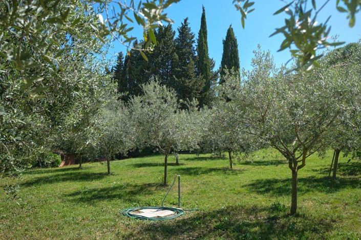 Image No.7-House for sale