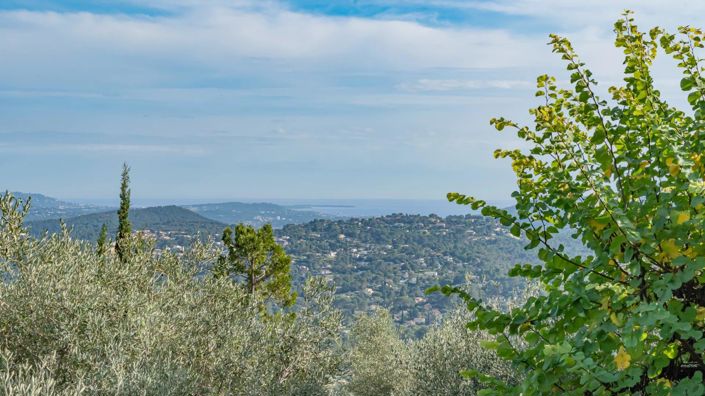 Image No.4-5 Bed House for sale