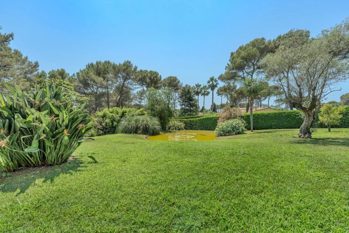 Image No.16-4 Bed House for sale