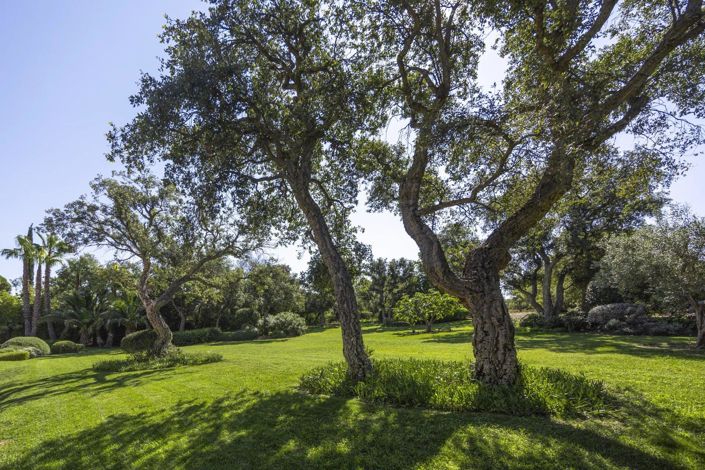 Image No.4-4 Bed House for sale