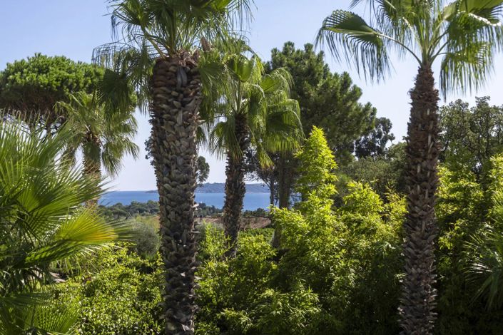 Image No.5-4 Bed House for sale