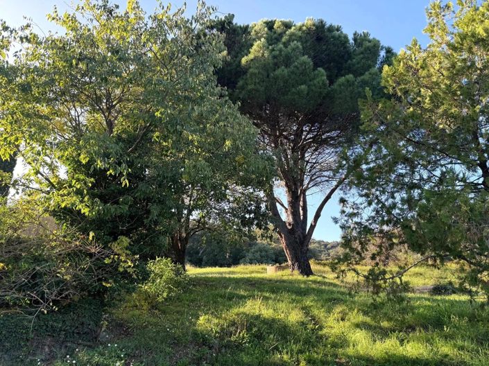 Image No.15-5 Bed House for sale