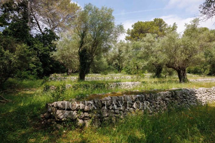 Image No.4-5 Bed House for sale