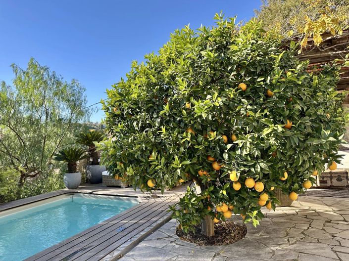 Image No.3-3 Bed House for sale