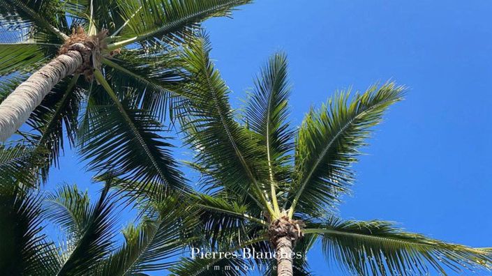 Image No.10-3 Bed House for sale