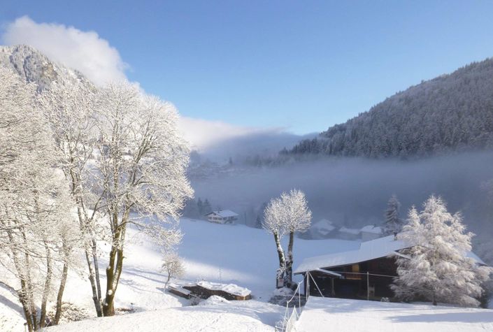 Image No.16-1 Bed Apartment for sale