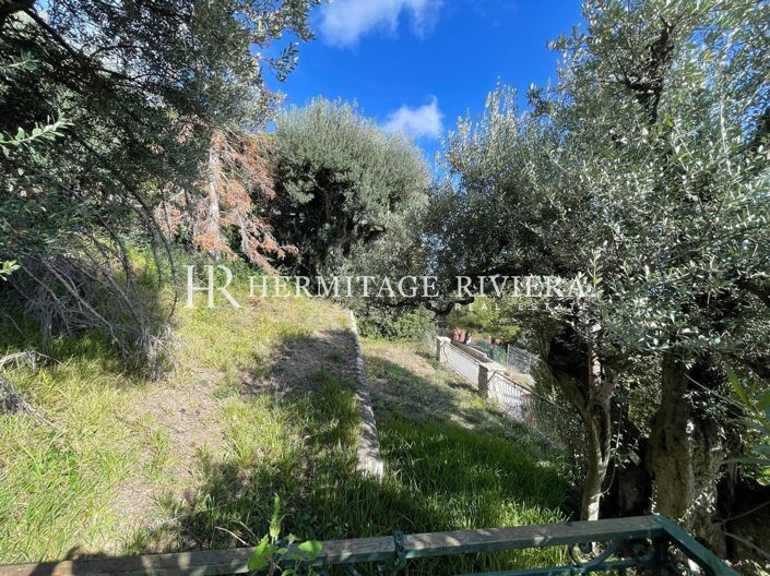 Image No.4-4 Bed House for sale