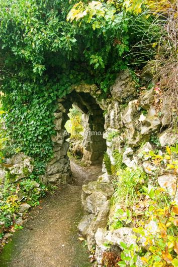 Image No.7-House for sale