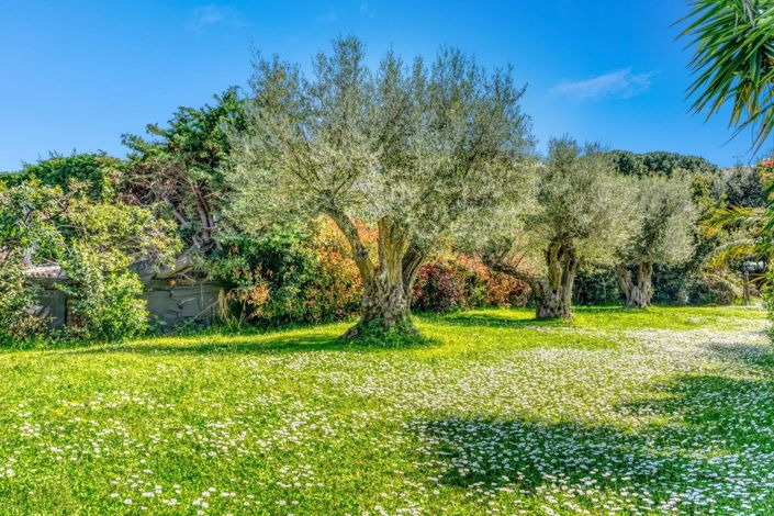 Image No.13-Maison de 8 chambres à vendre à Antibes