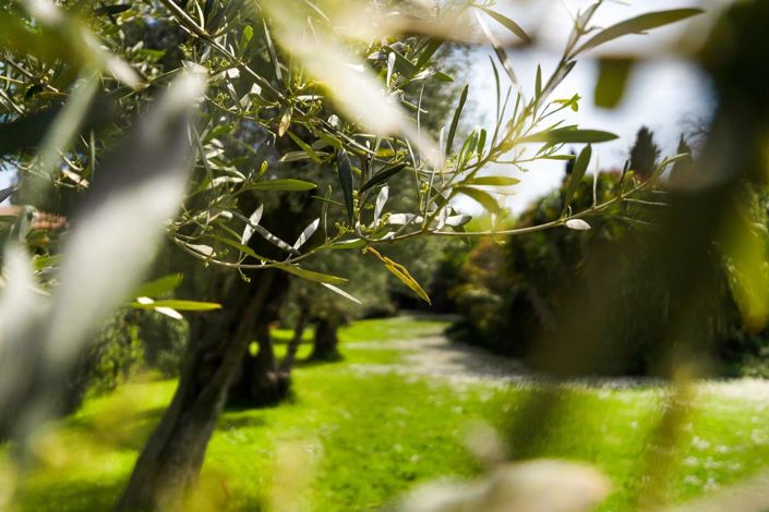 Image No.33-Maison de 8 chambres à vendre à Antibes