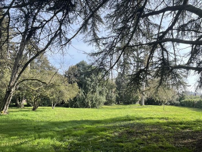 Image No.14-4 Bed House for sale