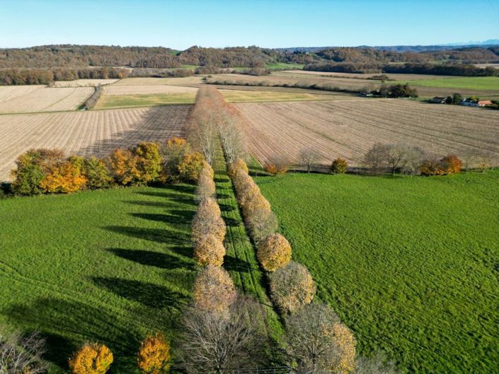 Image No.6-4 Bed House for sale