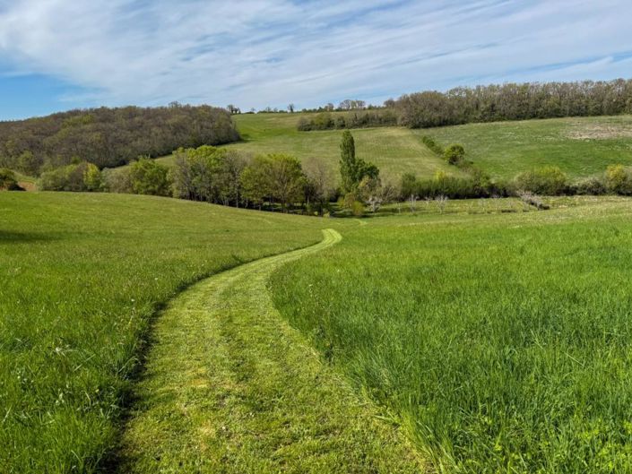 Image No.5-6 Bed House for sale