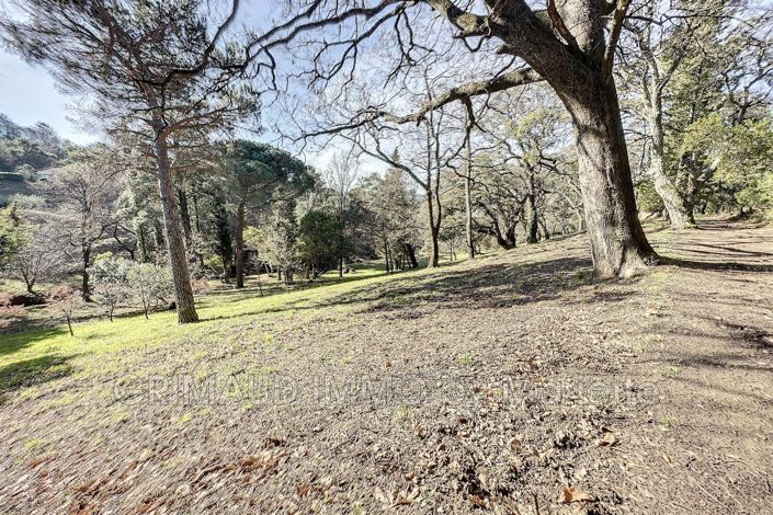 Image No.17-1 Bed House for sale