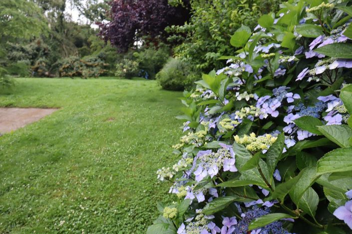 Image No.29-4 Bed House for sale