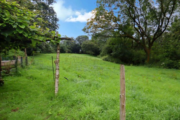 Image No.5-4 Bed House for sale