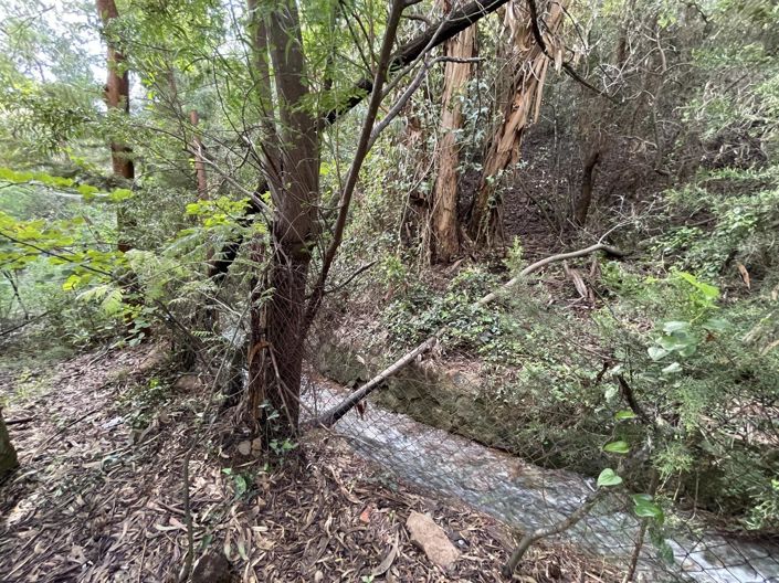 Image No.10-House for sale