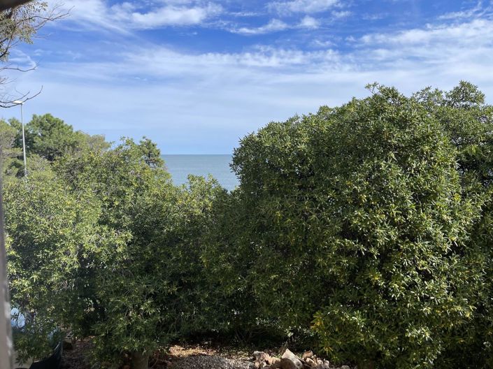 Image No.2-House for sale