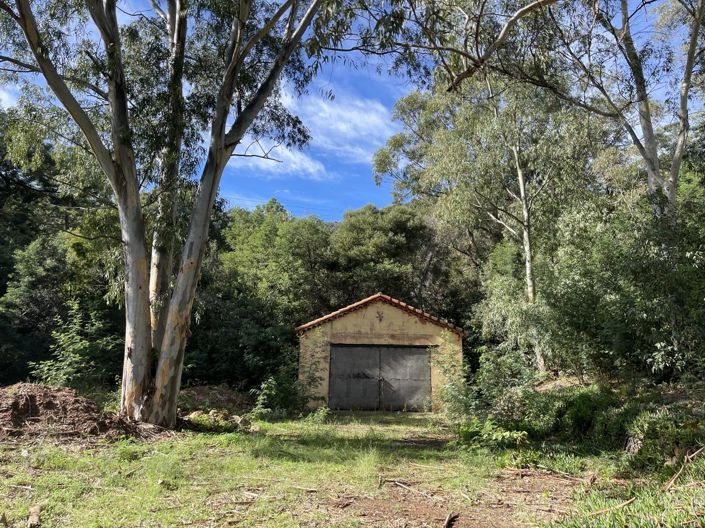 Image No.6-House for sale