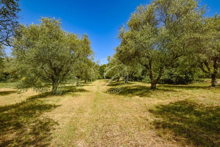 Image No.34-4 Bed House for sale