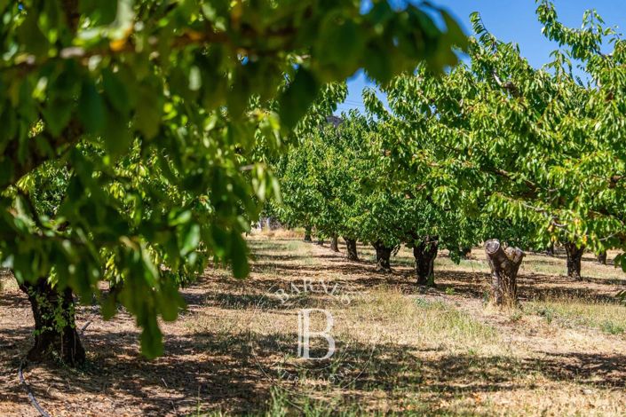 Image No.16-6 Bed House for sale