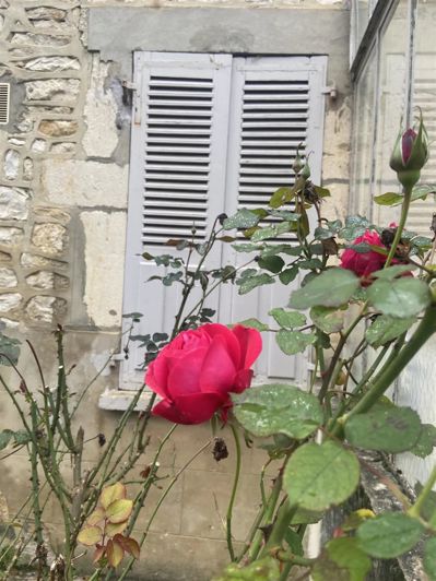 Image No.33-4 Bed House for sale