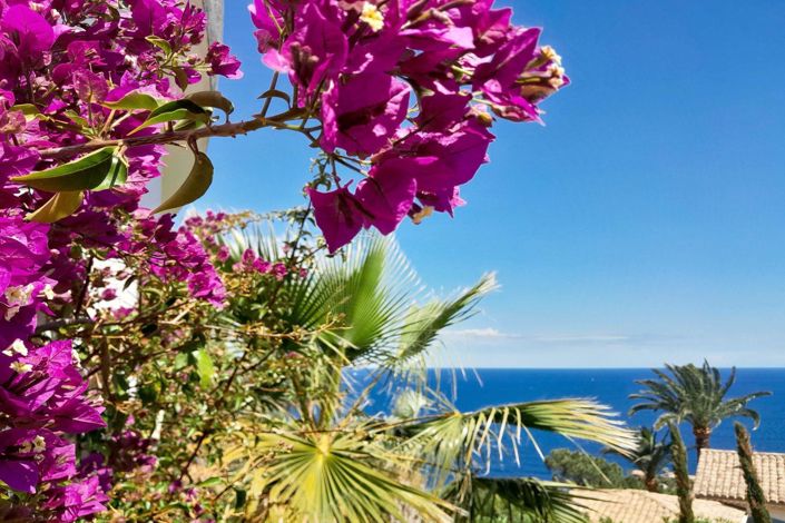 Image No.19-3 Bed House for sale