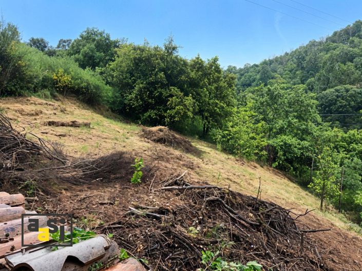 Image No.8-1 Bed House for sale