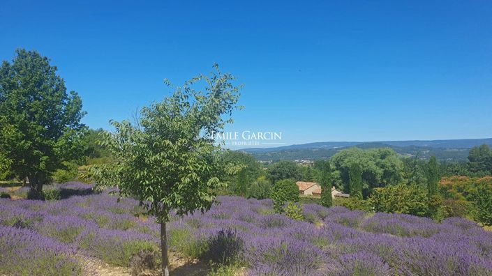 Image No.5-8 Bed House for sale