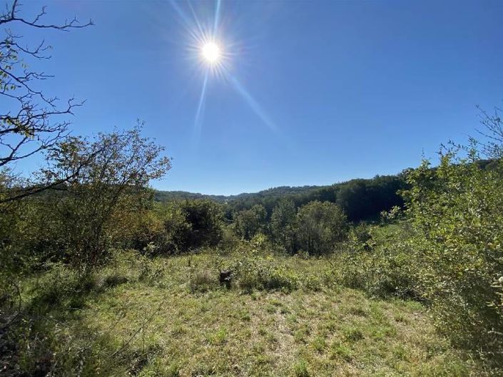 Image No.10-3 Bed House for sale