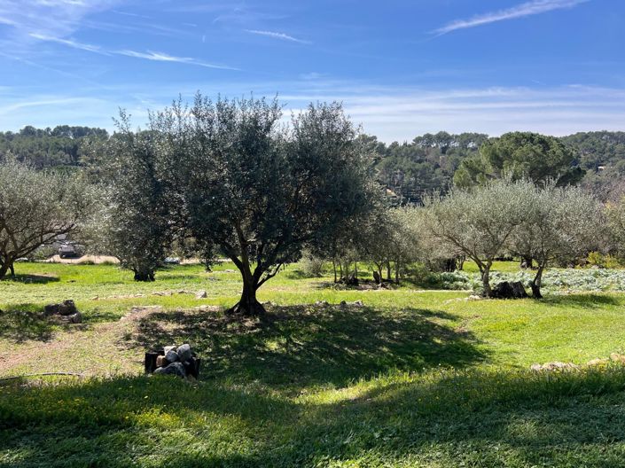 Image No.13-3 Bed House for sale