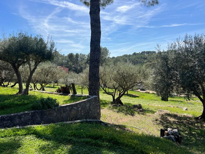 Image No.14-3 Bed House for sale