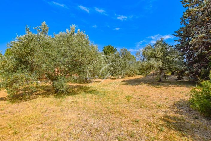 Image No.29-3 Bed House for sale