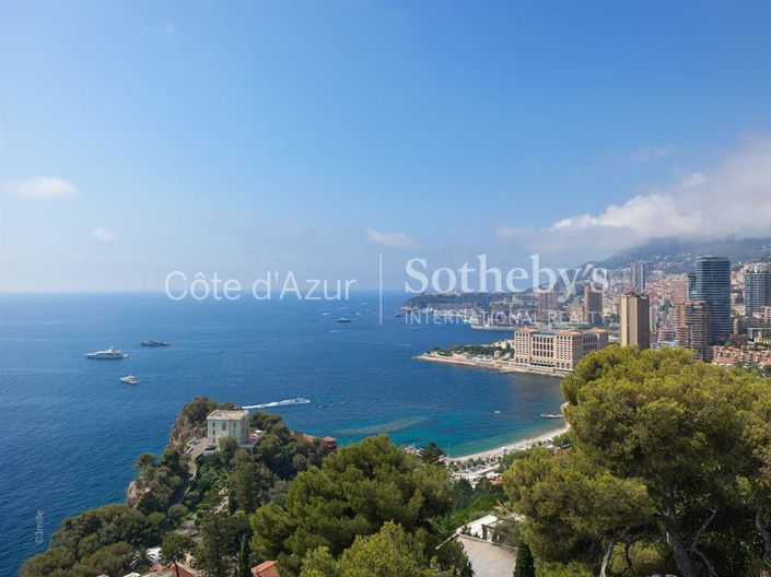 Image No.19-10 Bed Property for sale