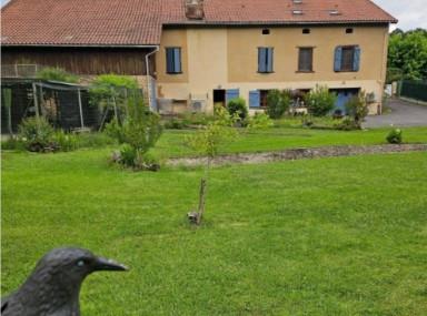 Image No.1-House for sale