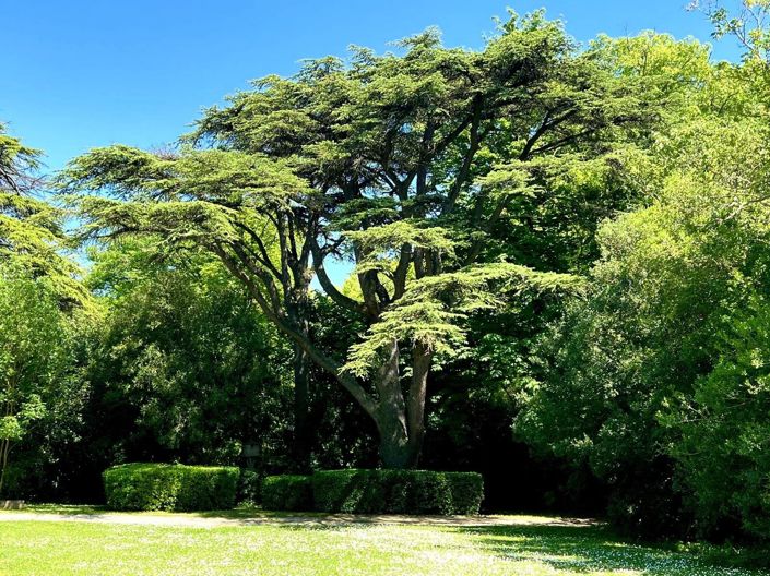 Image No.25-7 Bed House for sale