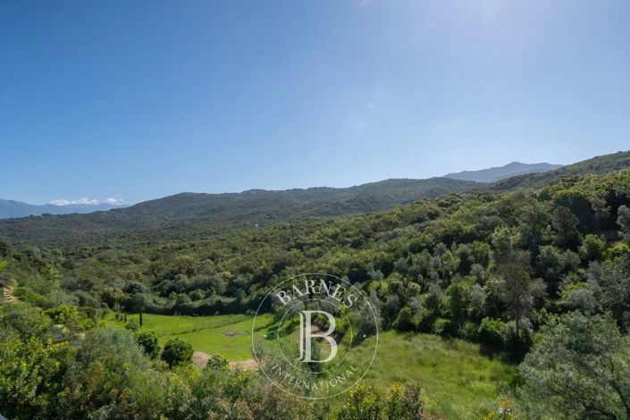 Image No.7-House for sale