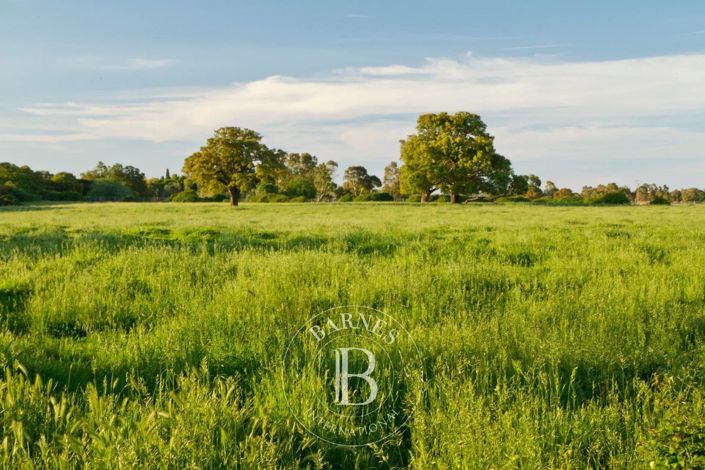 Image No.7-Property for sale