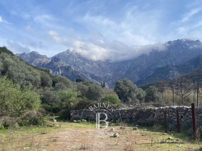 Image No.4-House for sale