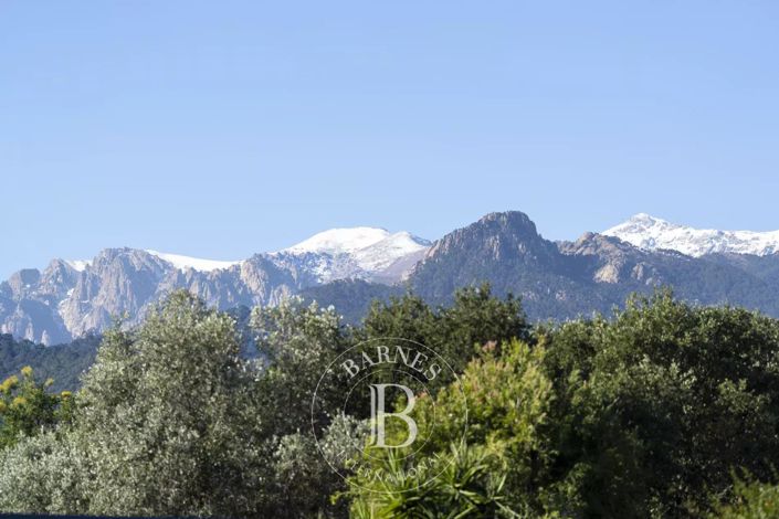 Image No.17-4 Bed House for sale