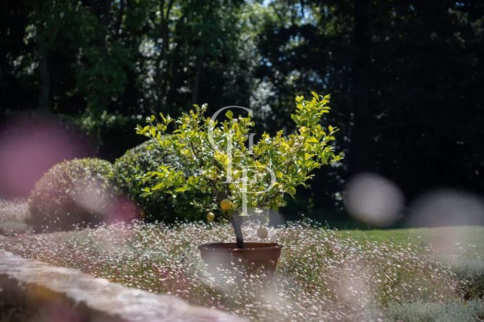 Image No.24-8 Bed House for sale