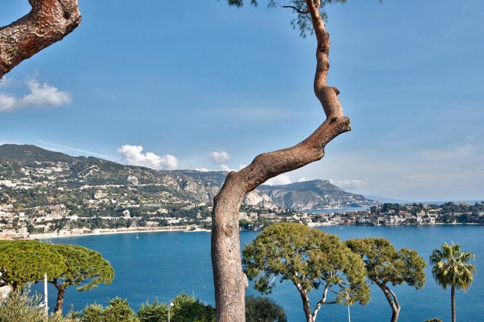 Image No.25-3 Bed House for sale