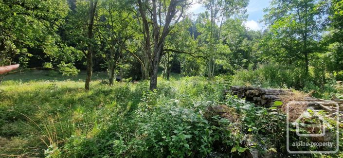 Image No.5-House for sale