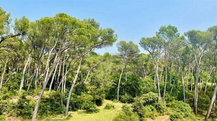 Image No.9-6 Bed House for sale