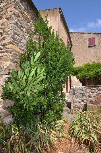 Image No.3-3 Bed House for sale